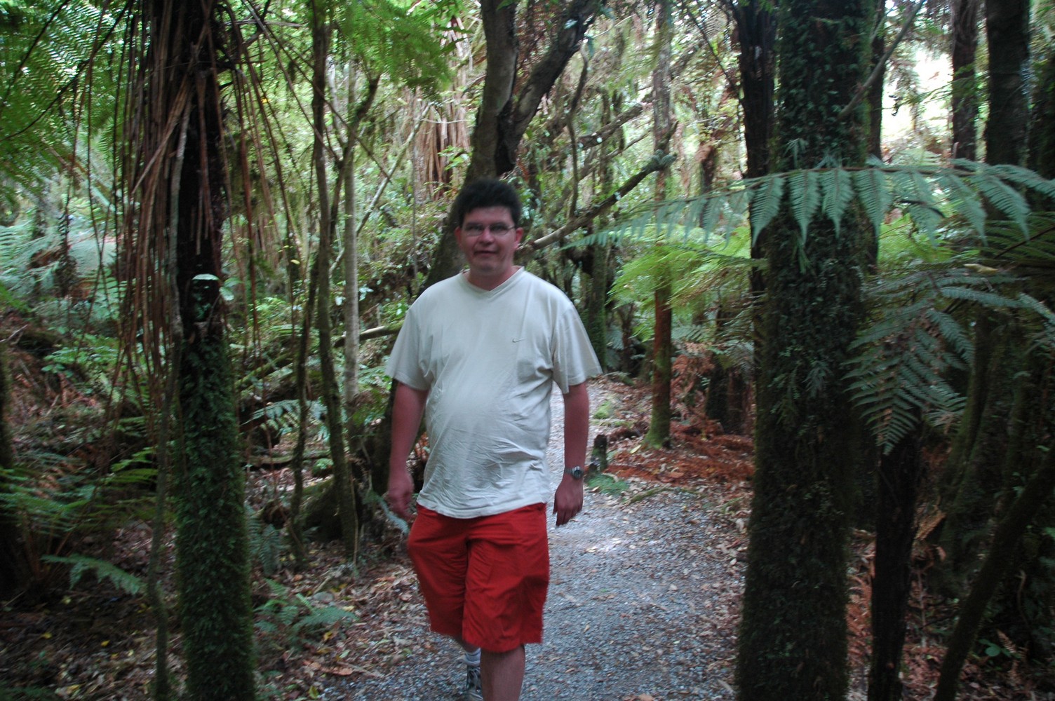 085   24 01   Greymouth   Fox Glacier